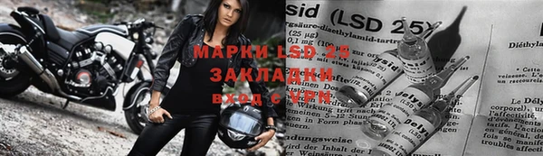 индика Балабаново