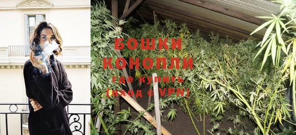 PSILOCYBIN Баксан